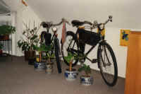 wpe18.jpg (181408 bytes)